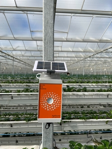 Revolutionising Fruit & vegetable growing in the UK and beyond: The Power of Precision Pollination 