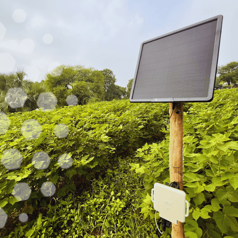 Breakthrough biodiversity findings revealed by AgriSound and CottonConnect in Indian cotton farm monitoring pilot programme