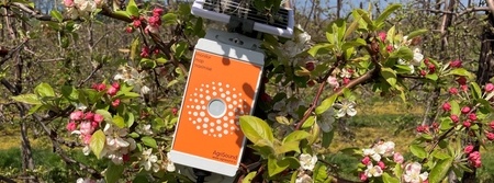 Blooming marvellous: New insect monitor listens out for bees on UK’s blossoming apple orchards