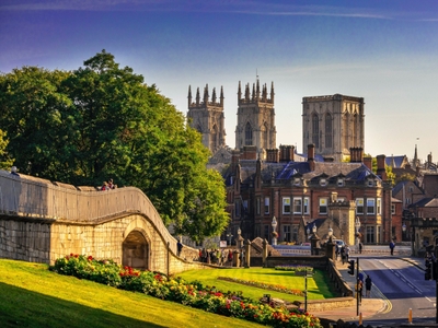 Helping York become the most pollinator friendly city in the UK
